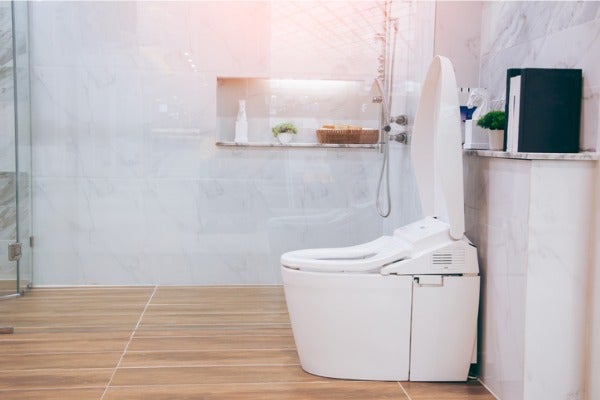 一體式的免治馬桶