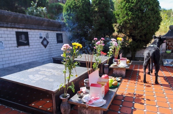 請專業除草工整理墓園有哪些優點？