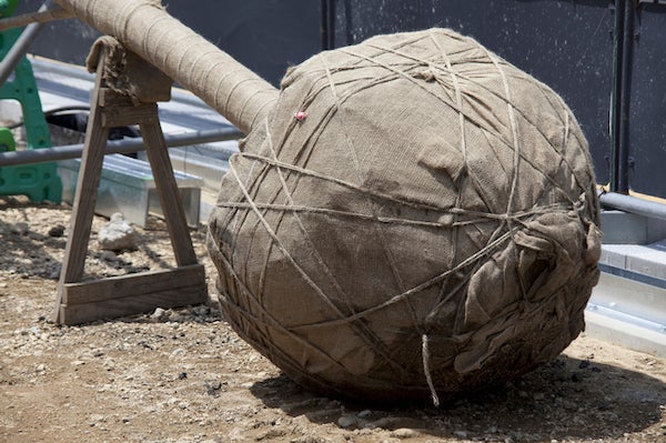 ▲在移植樹木時需要先將樹根修整成根球