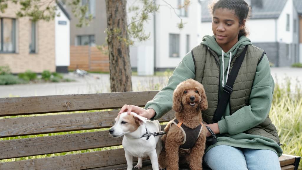 A cat sitter pets two dogs on leashes on an outdoor bench
