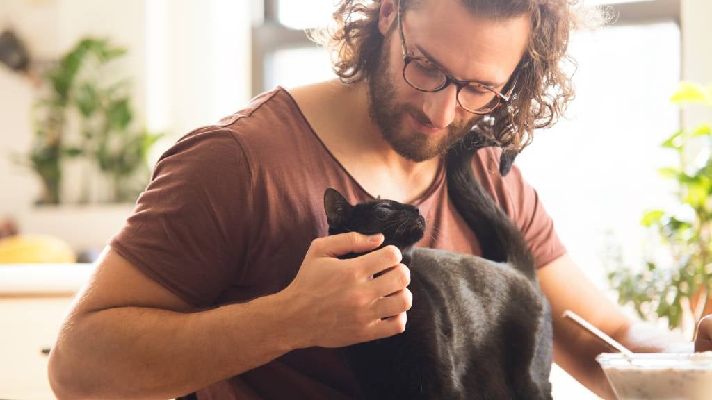 A man sits at the breakfast table and gives his affectionate black cat chin rubs