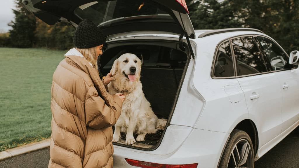A woman stands next to her dog in the trunk of her car