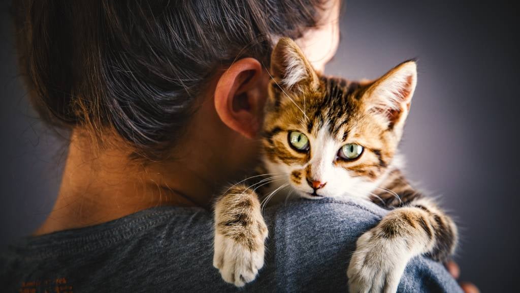 A woman hugs her missing tabby cat after being reunited