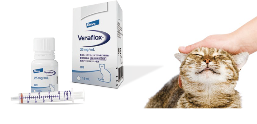 抗菌薬で初めての「猫用」経口懸濁液
