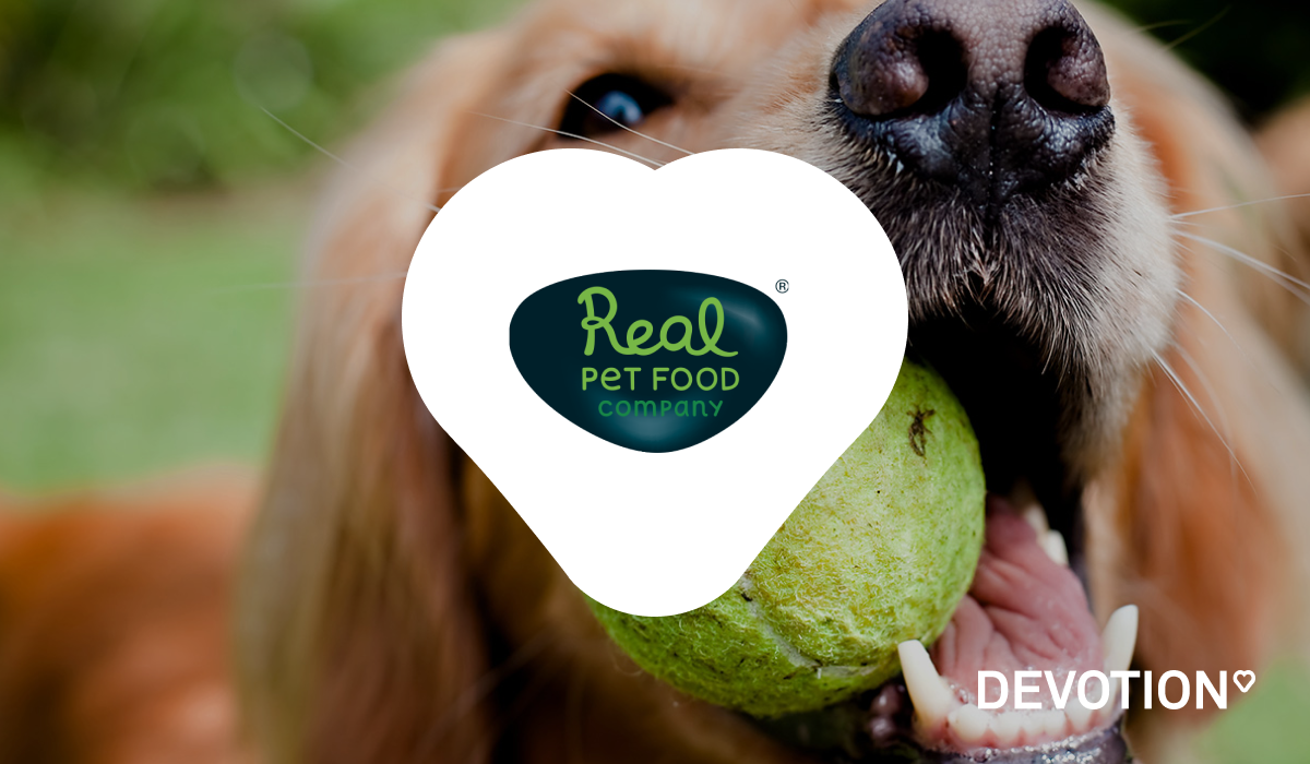 Website Development Real Pet Food Company Devotion website-development-real-pet-food-company-devotion