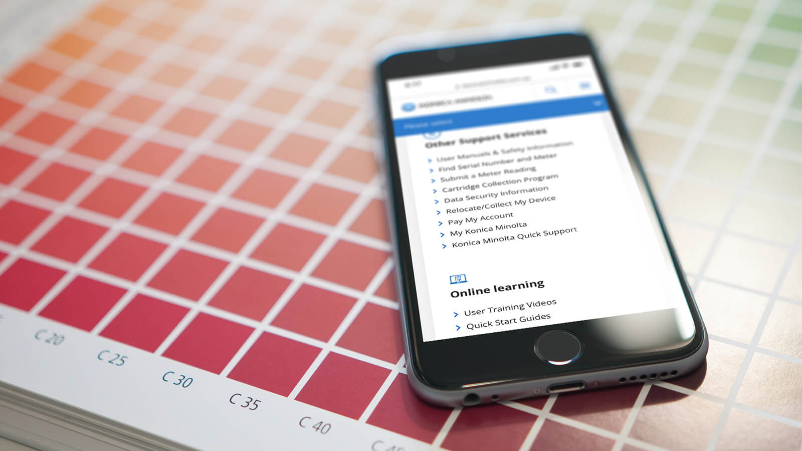 site Development Konica Minolta Devotion Digital