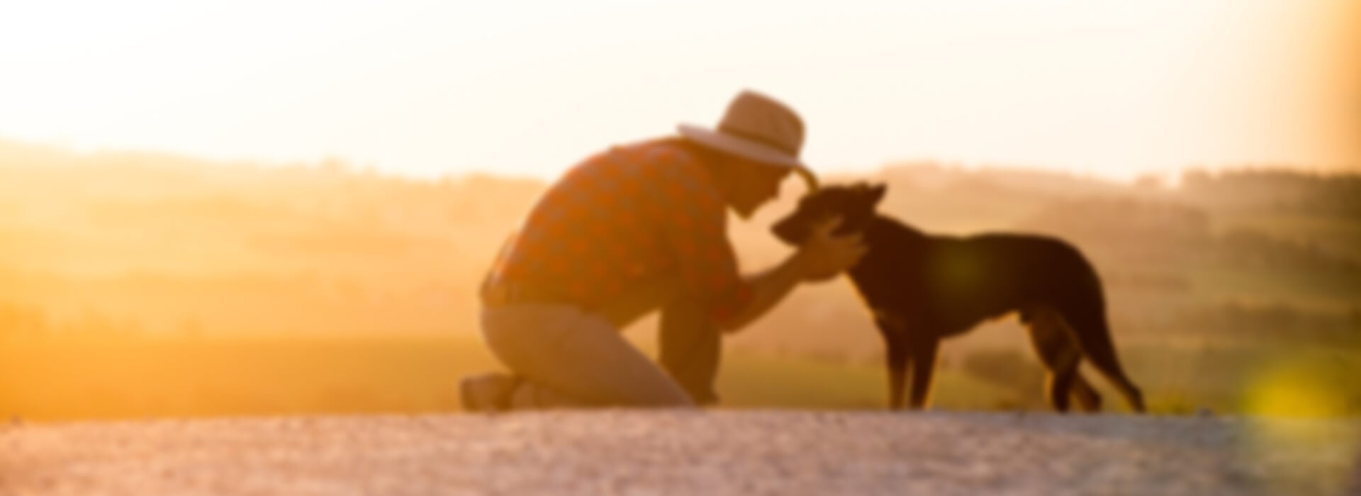 Black Hawk appoints Devotion to reimagine their website.