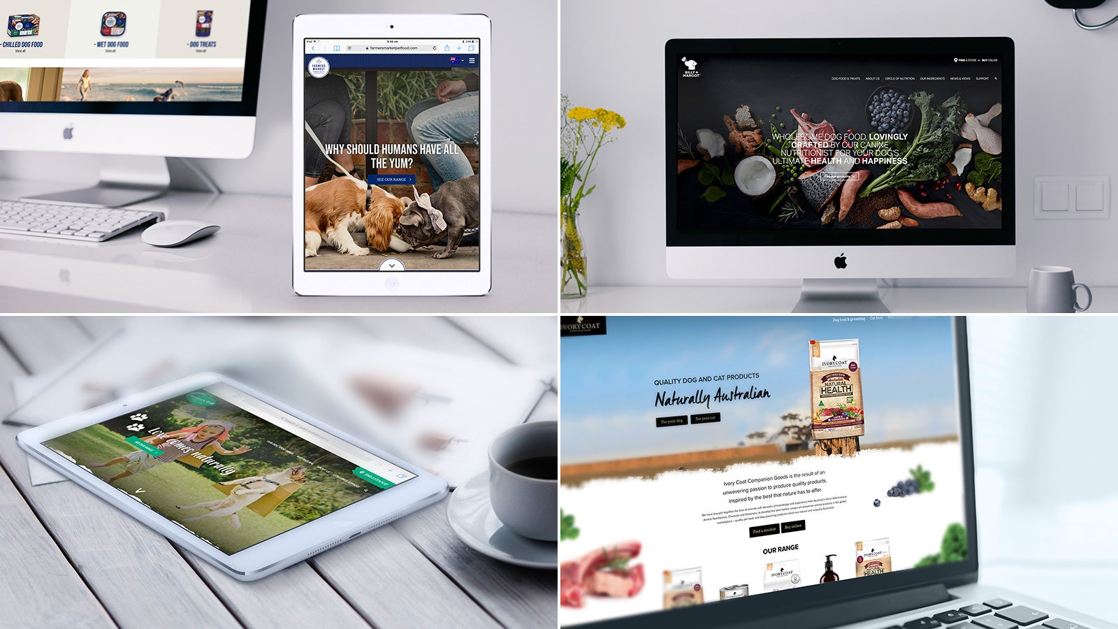 website-development-real-pet-food-company-devotion