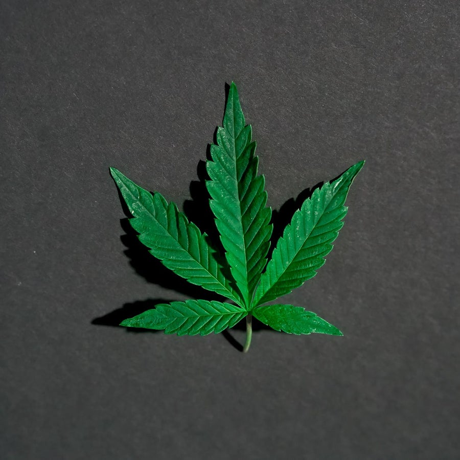 A picture of a cannabis leaf