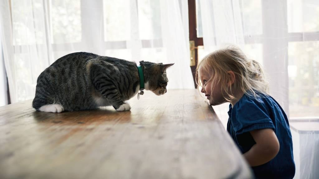 Little girl playing with her pet cat