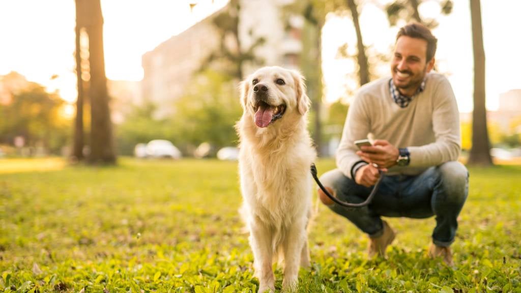 A smiling man kneels next to his dog that is on a leash