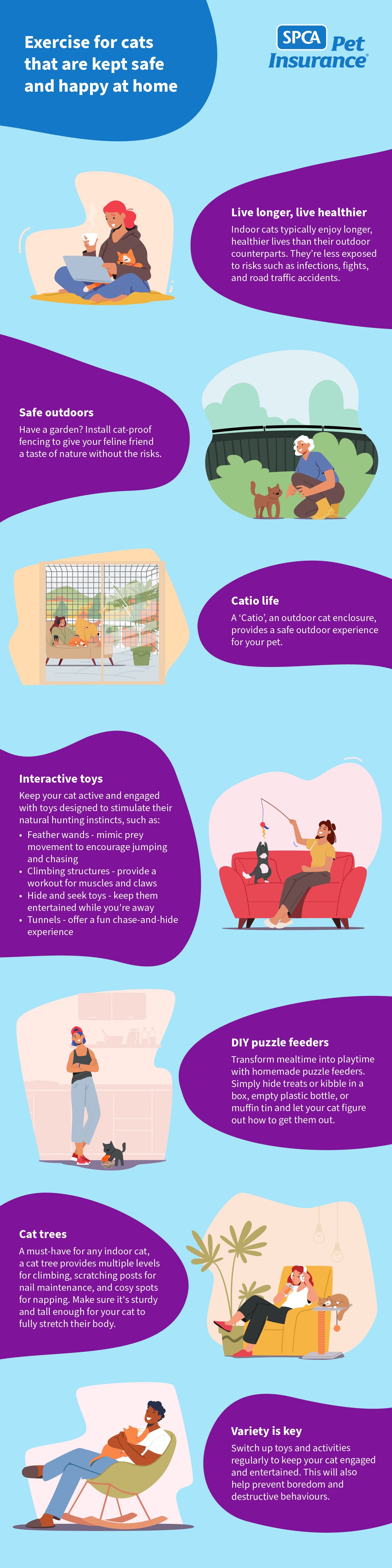 Inside cat safe at home infographic