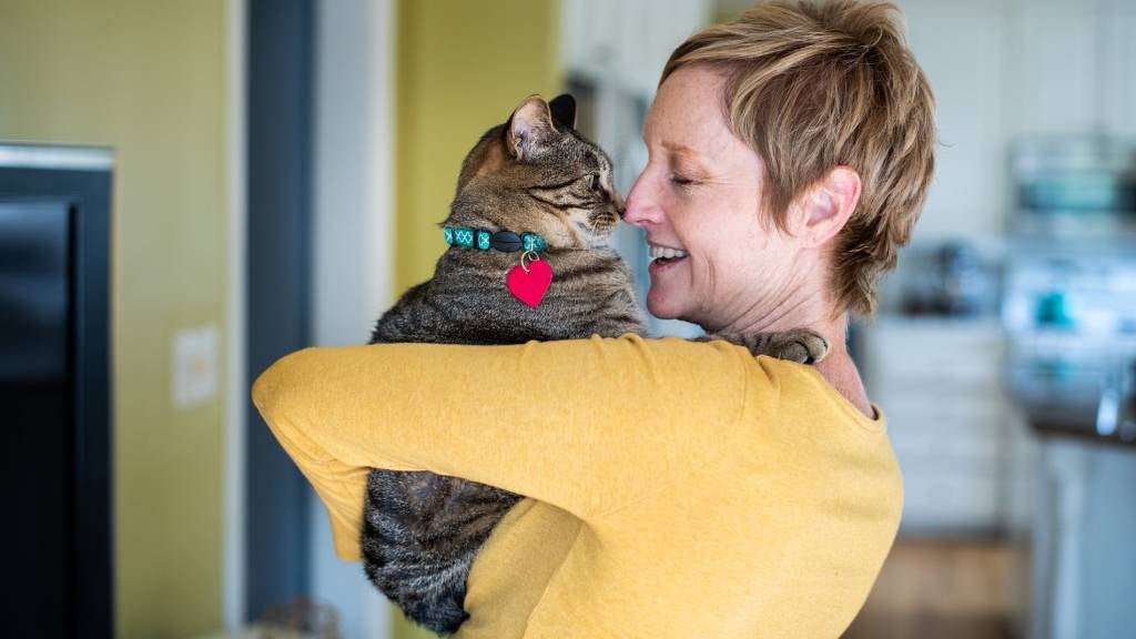 Pet cat smiling and enjoying being held by owner in her arms.