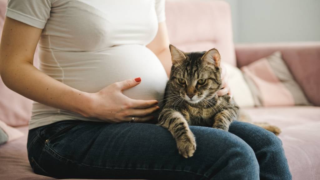 Pregnant Woman With Cat Relaxing At Home