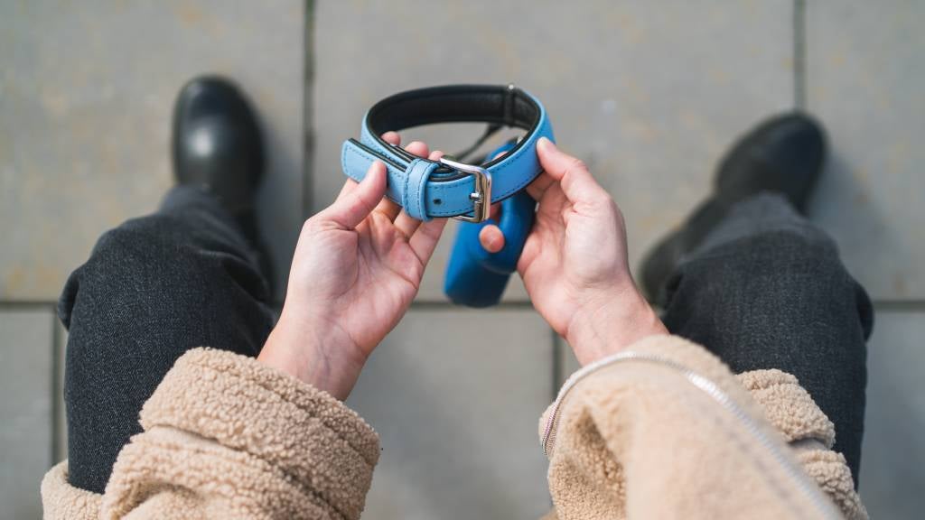 Grieving owner holding dog collar