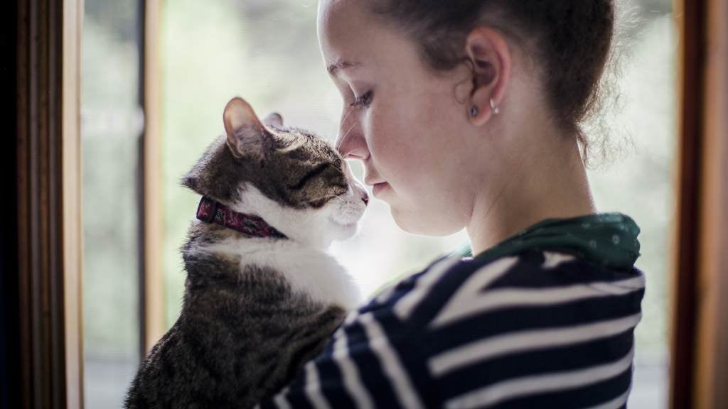 Girl holding cat in her arms in front of a window