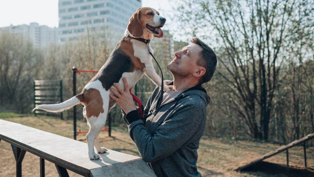 Pet owner and happy dog at an outdoor gymnasium