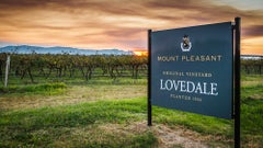 Mount Pleasant Wines