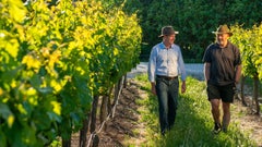 Sevenhill Cellars