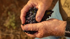 CCW Co-operative Limited