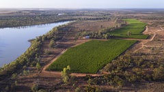 Byrne Vineyards