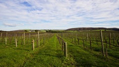 Nangkita Wines