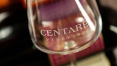 Centare Vineyard