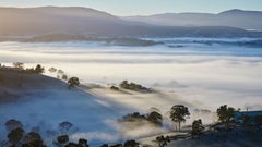 Wine Yarra Valley