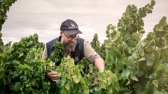 Hayes Family Wines
