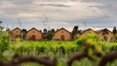 Murray Street Vineyards