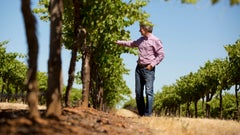 Hatch Wines