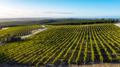 Gatt Wines