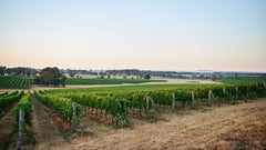 Fowles Wine