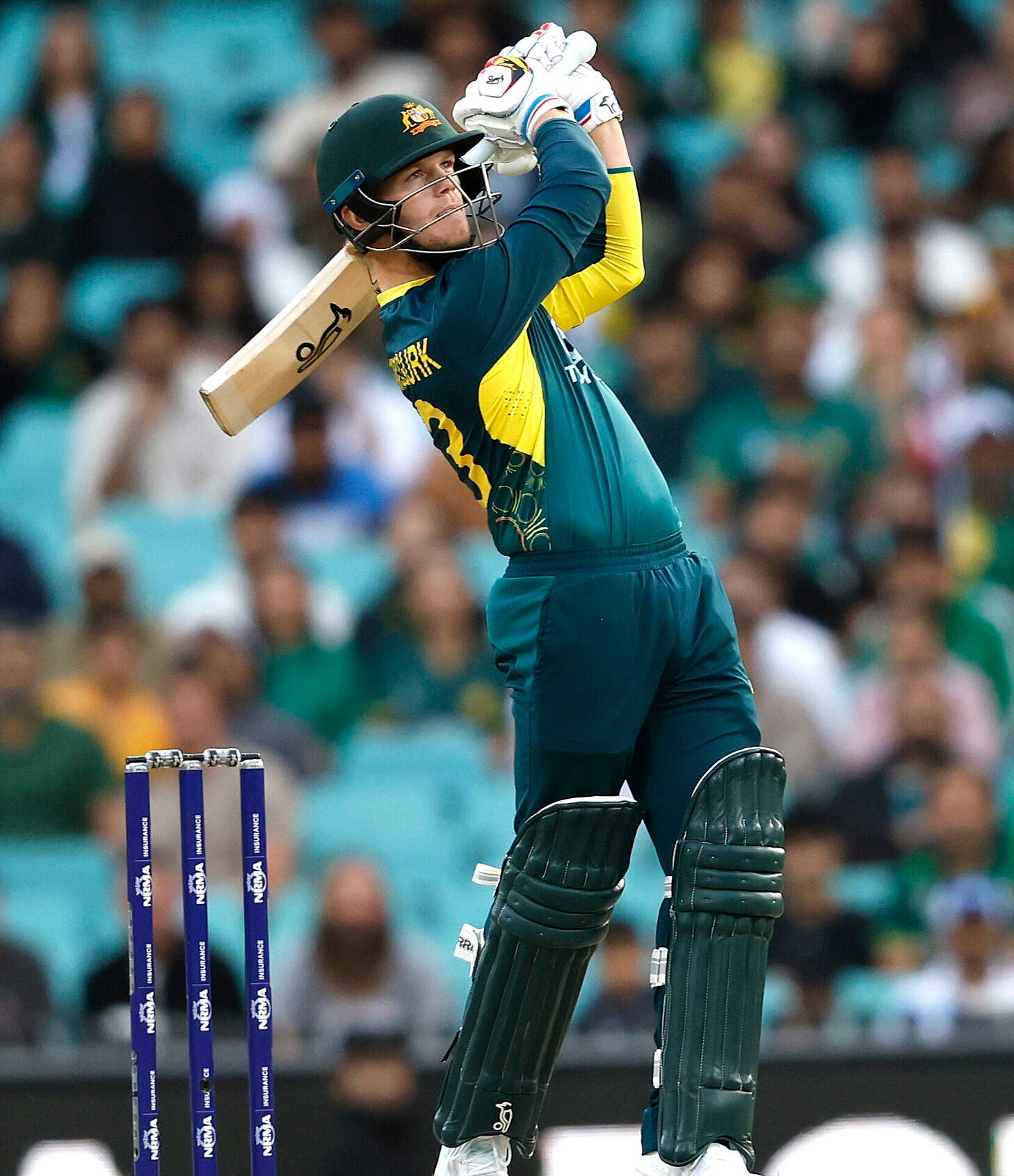 T20 - Australia v Pakistan 16.11.24 - Phil Hillyard pictures 011_T20 - Australia v Pakistan 16.11.24 - Phil Hillyard pictures 011.jpg