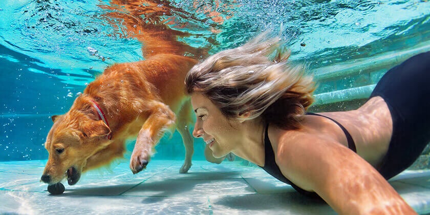 A woman and a dog swimming underwater in a swimming pool