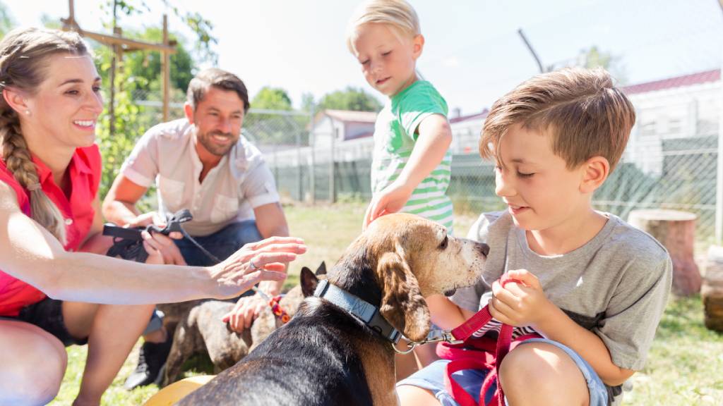 family taking home new dog