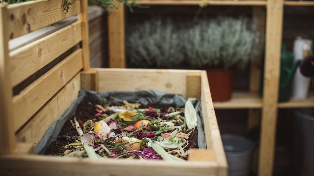 A wooden compost bin in a garden, filled with organic scraps