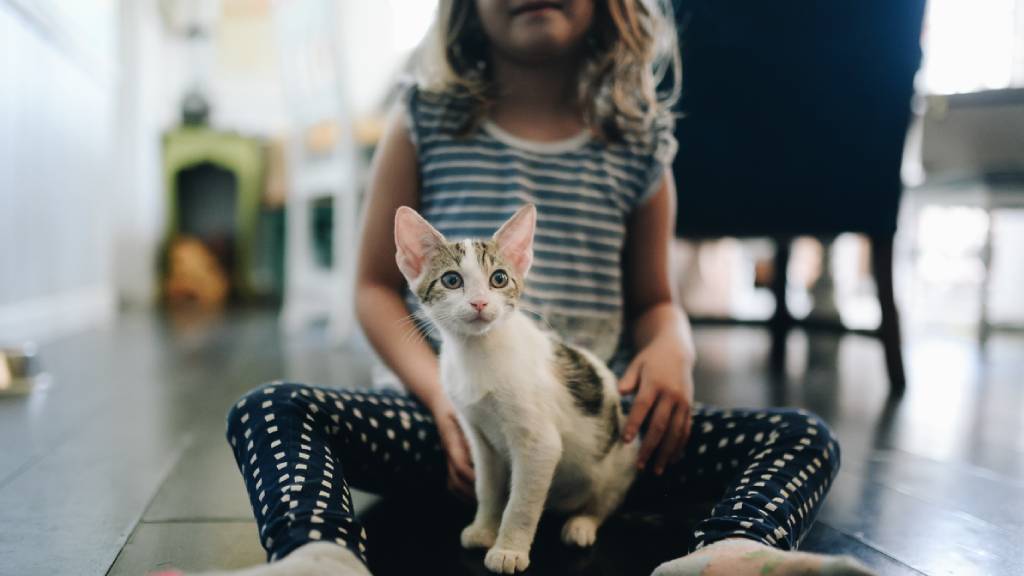 young girl with new kitten