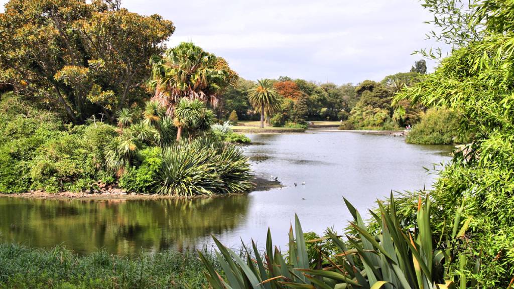 Australian scenery