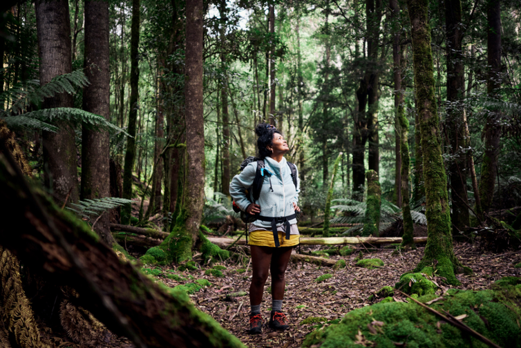 Woman exploring the rugged beauty of Tasmania's wilderness bushwalking through a temperate rainforest.