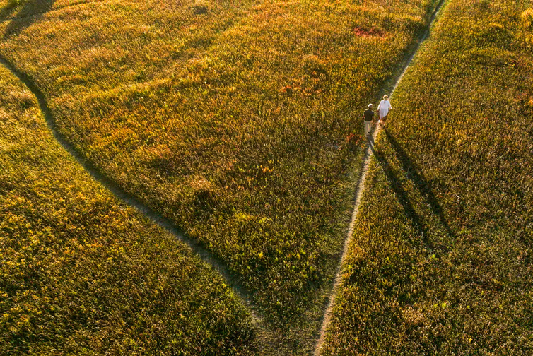 aerial view of grassy landscape with older couple walking down one path