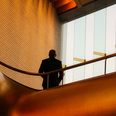 A man in shadow stands with his back to a balustrade.