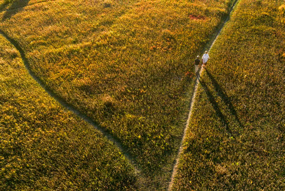 aerial view of grassy landscape with older couple walking down one path