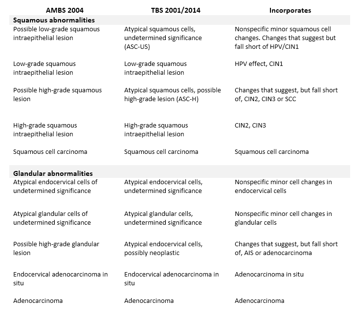 A table with written information about squamous and glandular abnormalities.
