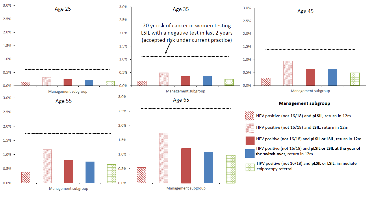 Figure 1 - 20 year CC risk in HPV positive women