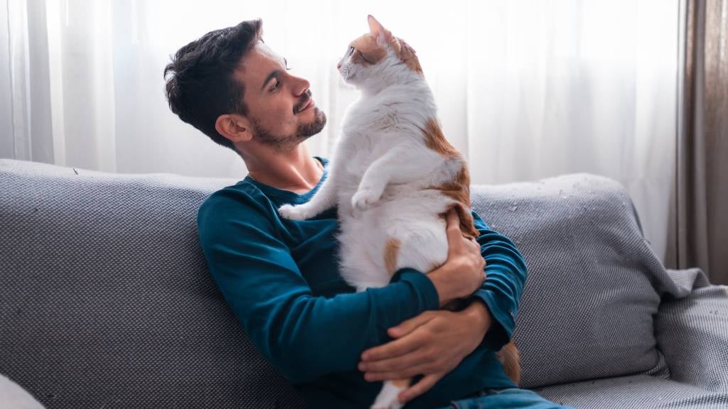 Man hugs his cat on lounge 