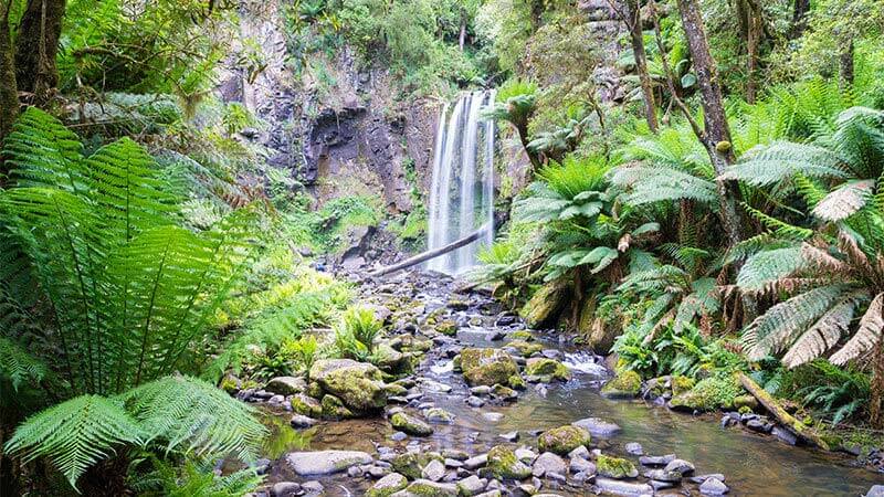 Hepburn Regional Park, Daylesford