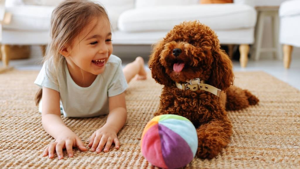 Little girl laying on the carpet with puppy and a ball