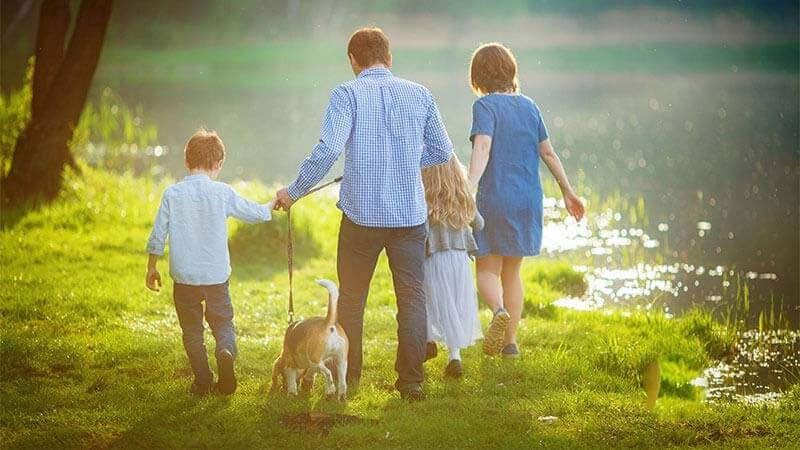 Family walking with their dog in a park.