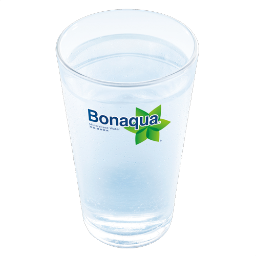 Bonaque Mineralized Water (500ml)